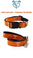 Tennessee Volunteers Dog Collar and Leash Set | STADIUM SPOT | DC-UT-DL-UT-6