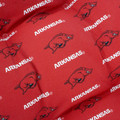 Arkansas Razorbacks Adirondack Chair Cushion | College Covers | ARKADR