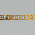 Iowa Hawkeyes Recycled Metal Wall Decor Hawkeyes | LRT SALES | HAWKYESWD