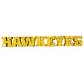 Iowa Hawkeyes Recycled Metal Wall Decor Hawkeyes