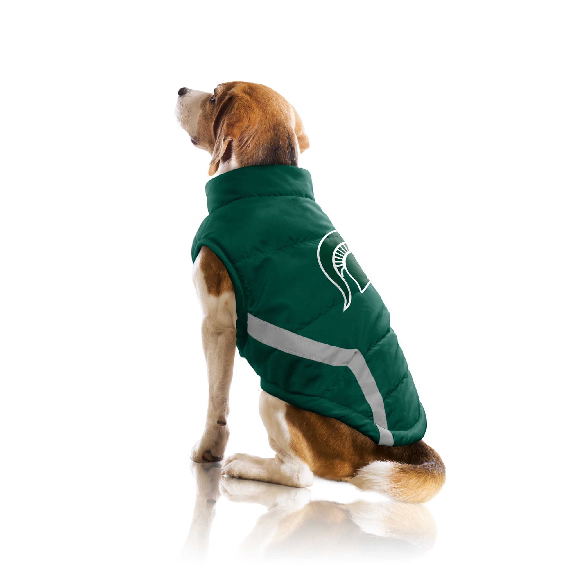 msu dog sweater
