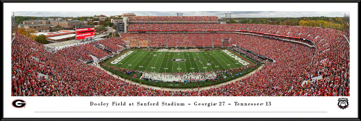 Bulldogs Football Stadium Panoramic Photo Standard Frame