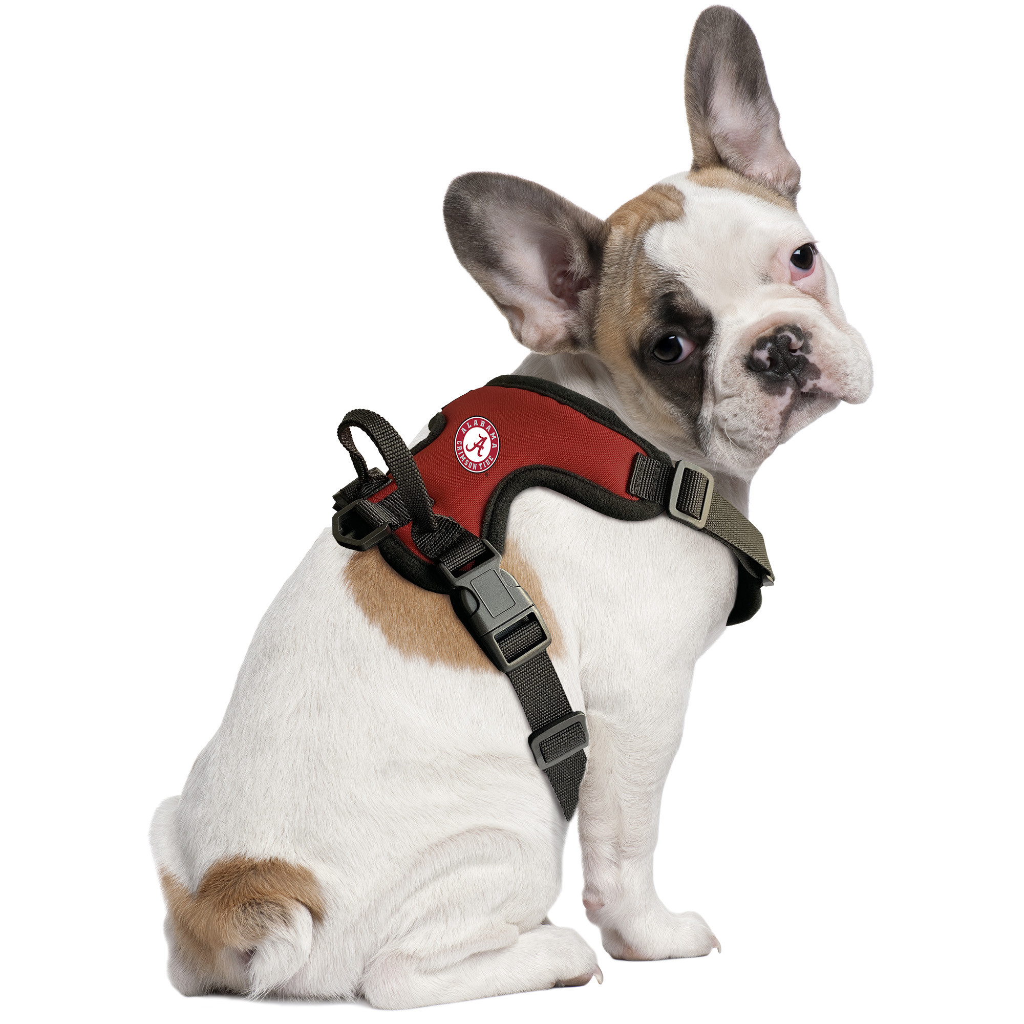 Louisville Cardinals Pet Hoodie Harness