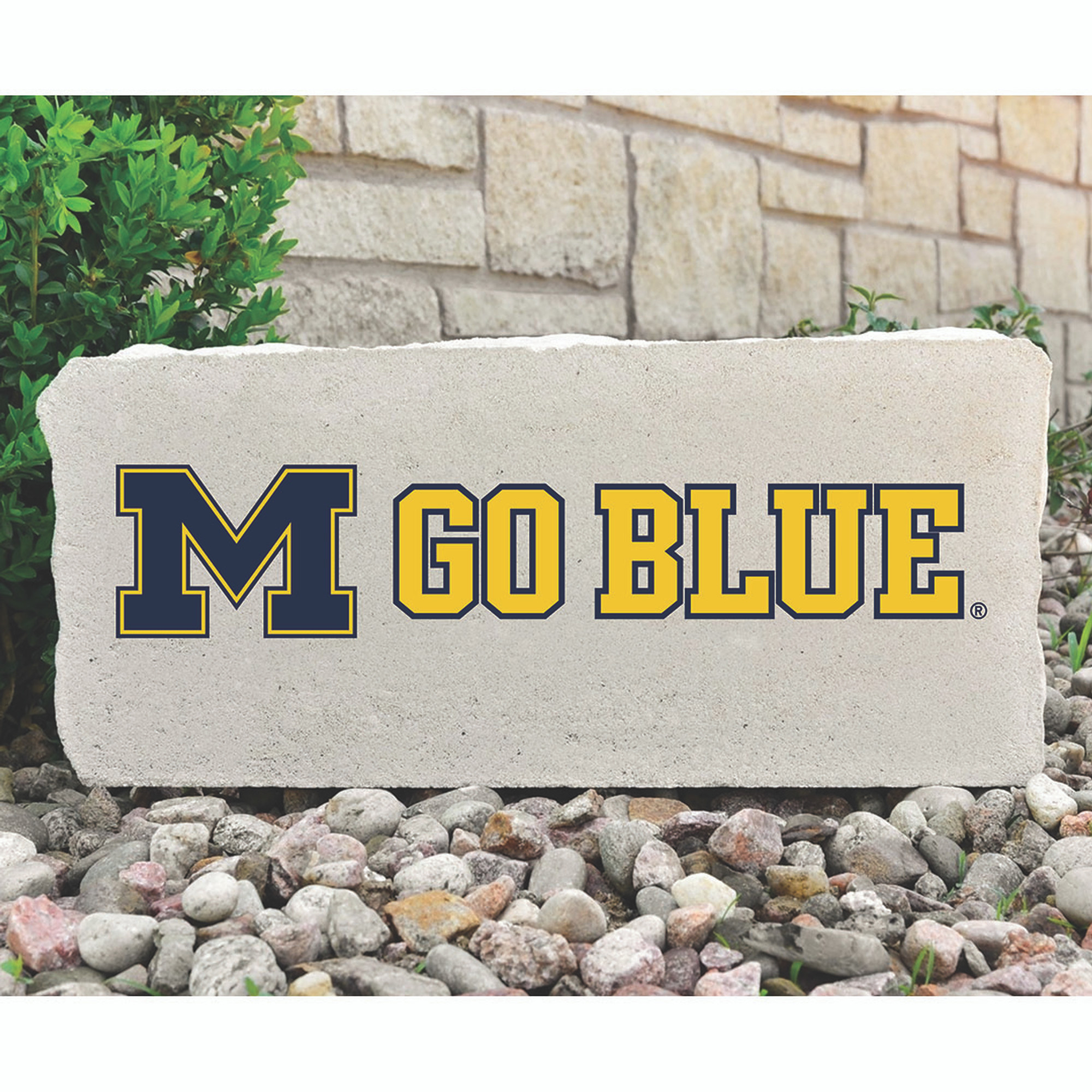 Elevate Your Space: The Ultimate Guide to Michigan Wolverines Decor