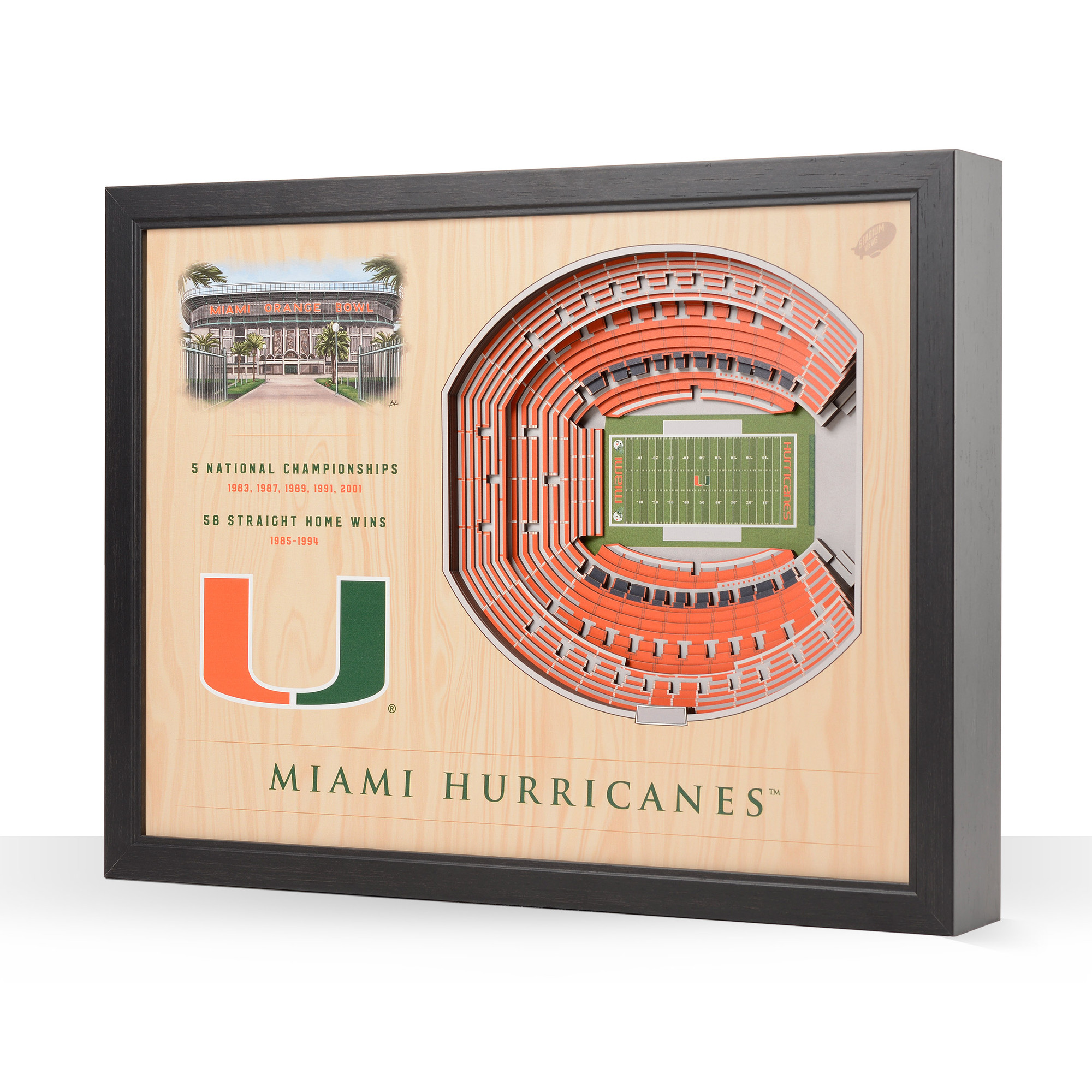 Miami Hurricanes 25-Layer StadiumView Wall Art