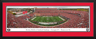 Blakeway Panoramas Arizona Cardinals Panoramic Stadium Standard Frame Picture