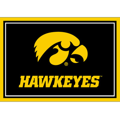 Iowa Hawkeyes 3x4 Area Rug | Imperial |IMP569-3018