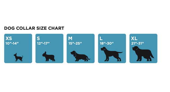 Georgia Bulldogs Dog Collar and Leash Set | STADIUM SPOT | DC-GA-DL-GA-6