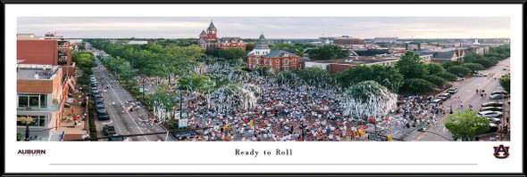 Auburn Tigers Standard Frame Panoramic Photo - Auburn Oaks | Blakeway | AUB12F