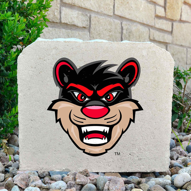Cincinnati Bearcats Decorative Stone Mascot - Medium | Stoneworx2 | UC-008 Cincinnati Bearcats Decorative Stone Mascot - Medium | Stoneworx2 | UC-008