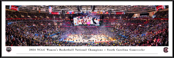 South Carolina Gamecocks 2024 NCAA Women's Basketball Championship Standard Frame Panoramic Photo  | Blakeway | BWPWFFBBC24SCARF