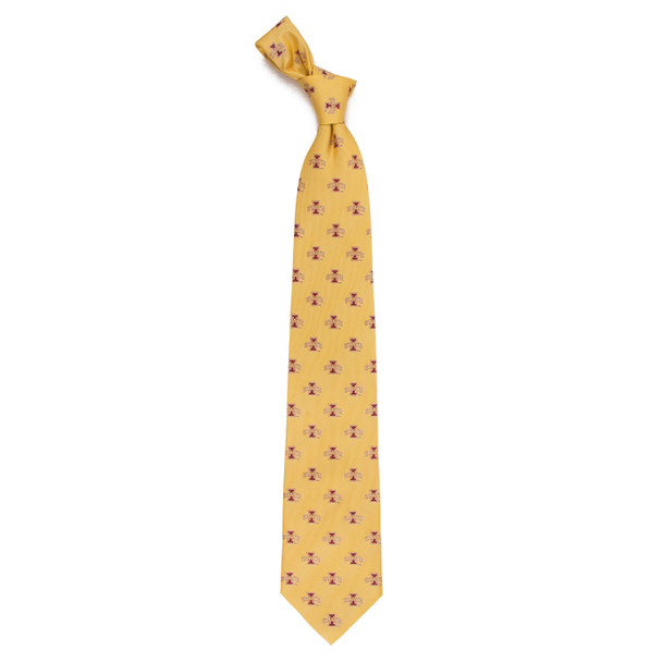 Iowa State Cyclones Echo Woven Silk Tie | Eagles Wings | 10616