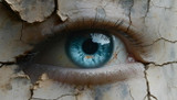Eye