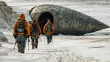 Alien Structures in Antarctica
