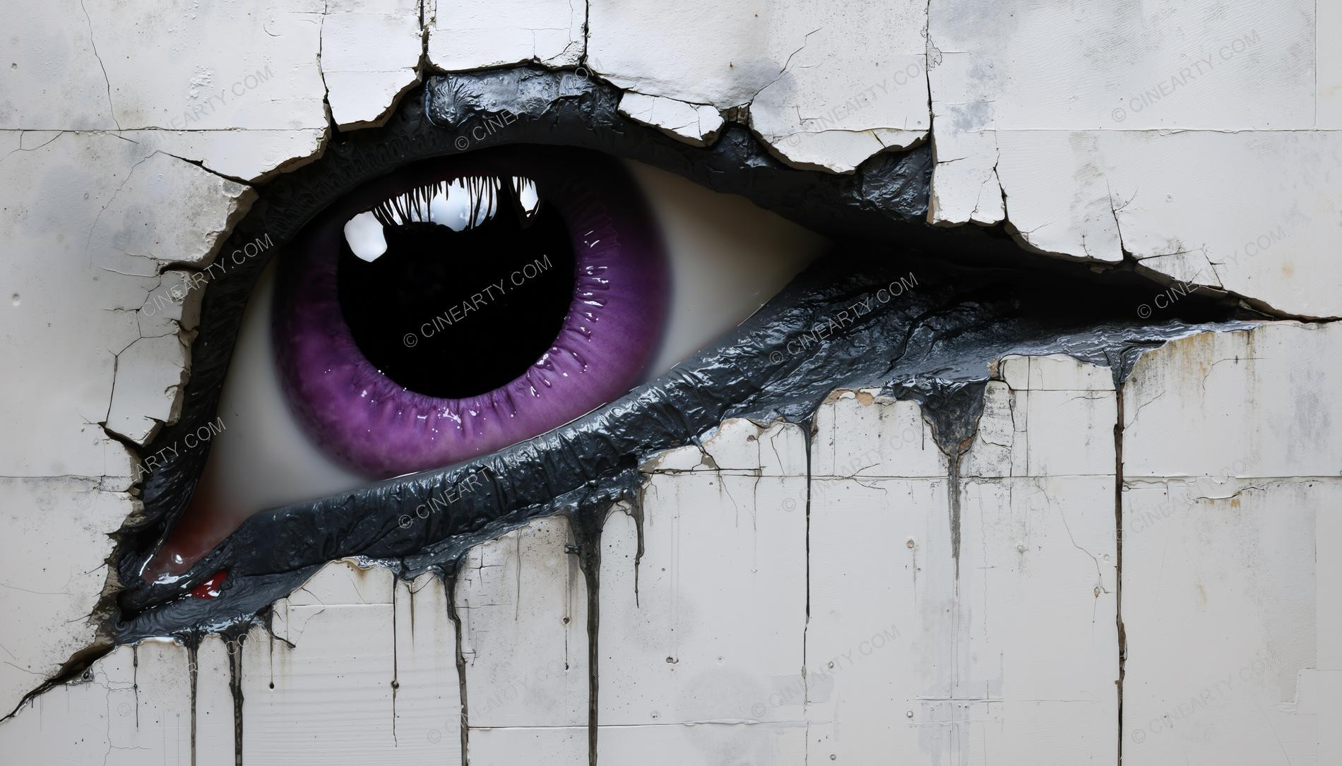 Eye 04639