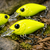 DayGlo Better Choice Neon Pigments Saturn Yellow®