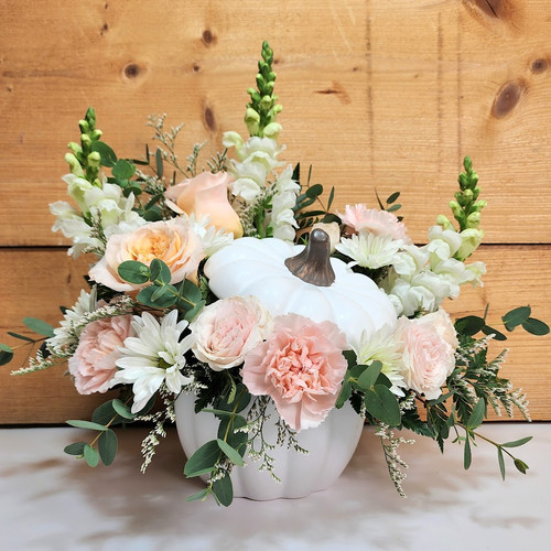 Blush Pumpkin Elegance (2090)