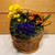  3 Flowering Plant Basket (SCF21D17)