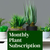 Monthly Plant Subscription - Savilles Florist