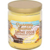 smoke odor 13oz candle Pineapple Coconut
