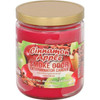 smoke odor 13oz candle Cinnamon Apple