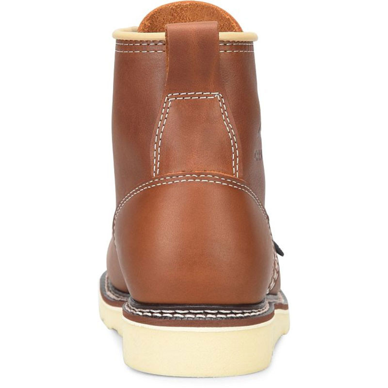 Carolina CA7003 USA AMP 6