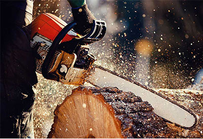 The Best Logging Boots | Expert Guide to Buying Logger Boots - Family ...