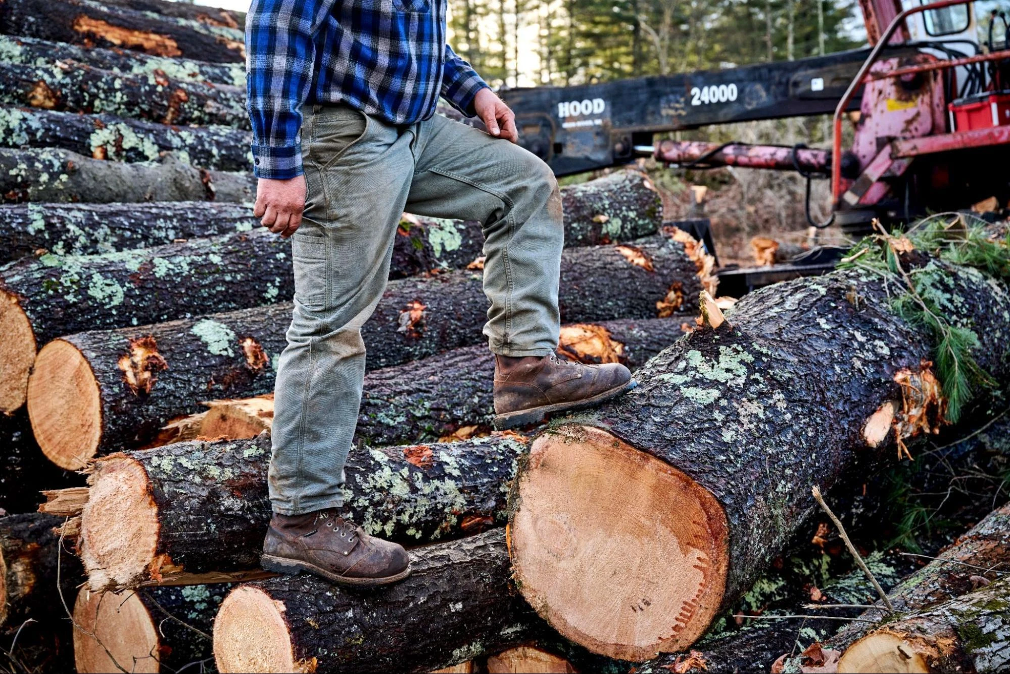 Logger in Carolina logger boots standing on a stack of felled timber at a logging site