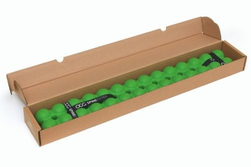 SPINEFITTER Balanced Body新品未使用 Replacement Parts Balanced Body Spinefitter By Sissel - Green Back