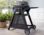 Ziggy Elite Twin Grill Natural Gas BBQ On Cart (Gunmetal Grey)