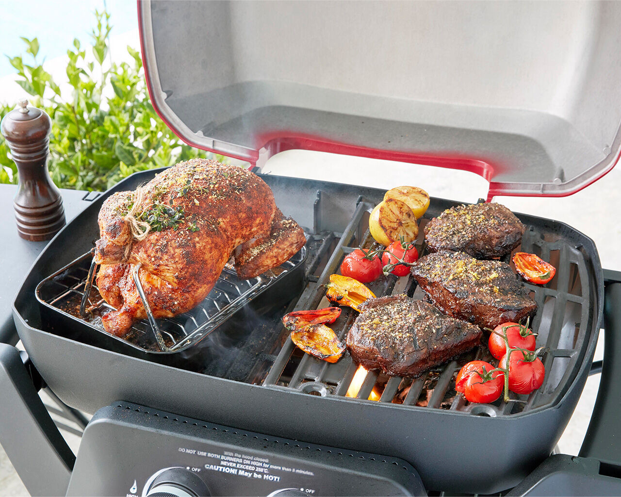 Ziggy Elite Twin Grill Natural Gas BBQ (Gunmetal Grey) Ziegler