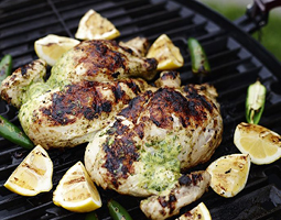 Jalapeno Mustard Barbequed Chicken - Ziegler and Brown