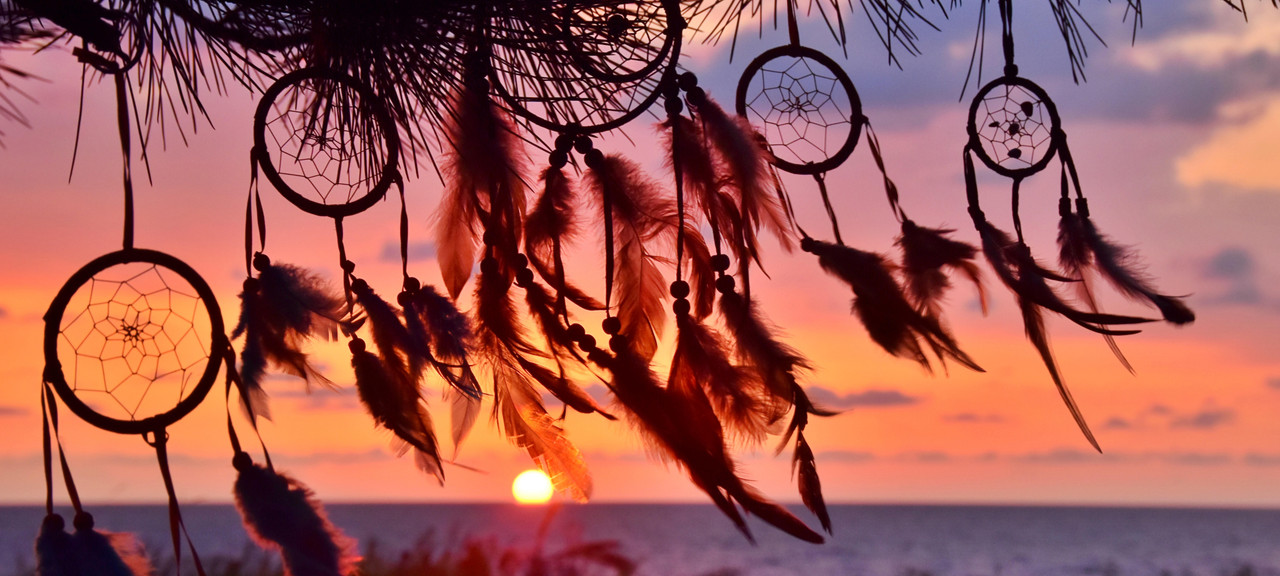 Spirit Animal Text - Indigenous Native Dream Catcher