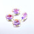 Crystal Oval Stone 14x10mm Violet Cognac