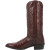 DAN POST MEN'S MILWAUKEE BROWN COWBOY BOOTS DP2111R