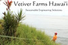 Vetiver Farms Hawaii