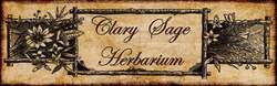 Clary Sage Herbarium
