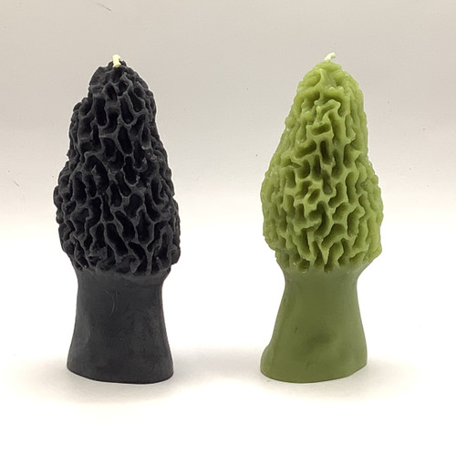 Morel Mushroom Beeswax Candle