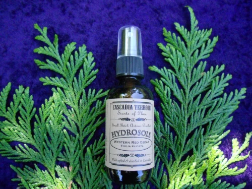 Cascadia Hydrosol