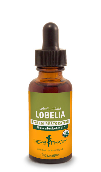 Lobelia Tincture