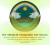 Embodied Ecosystems Tarot-Oracle Deck & Guidebook