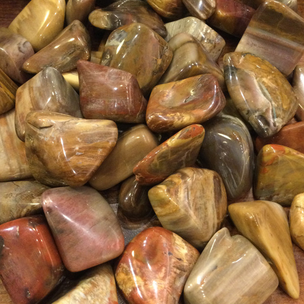 Petrified Wood Tumble Stones