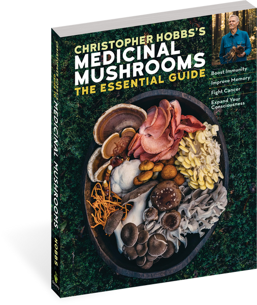 Medicinal Mushrooms: The Essential Guide