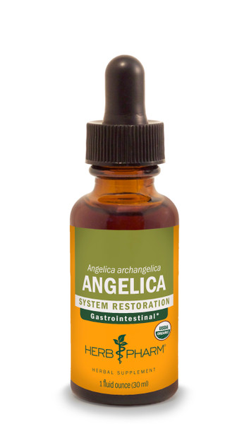 Angelica Tincture