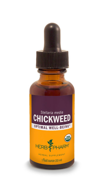 Chickweed Tincture