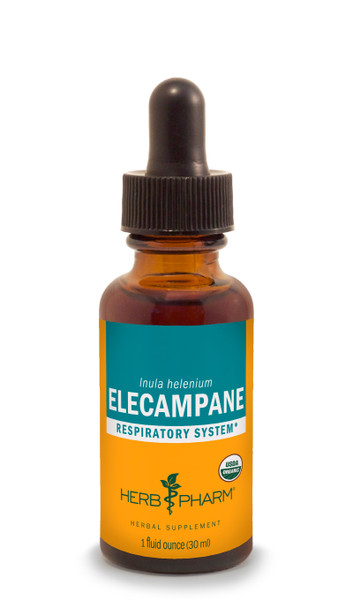 Elecampane Tincture