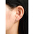 Arc Studs