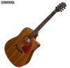 Sanchez SDC-18 RWD Acoustic / Electric Guitar