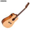 Ashton D20/12EQ Dreadnought 12 String Acoustic/Electric Ashton D20/12EQ Dreadnought 12 String Acoustic/Electric