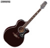 Takamine G70 Series Acoustic/Electri Guitar